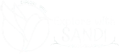 Sandi's Photography Logo